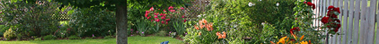 It's time to winterize your plants and lawn