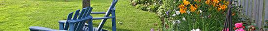 It's time to winterize your plants and lawn