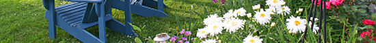 It's time to winterize your plants and lawn
