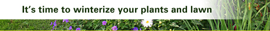 It's time to winterize your plants and lawn