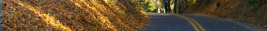 How to drive safely during Autumn and Fall